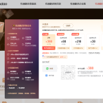 有道翻译有哪些支付方式？
